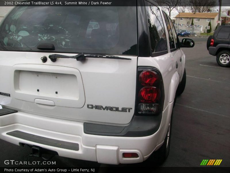 Summit White / Dark Pewter 2002 Chevrolet TrailBlazer LS 4x4
