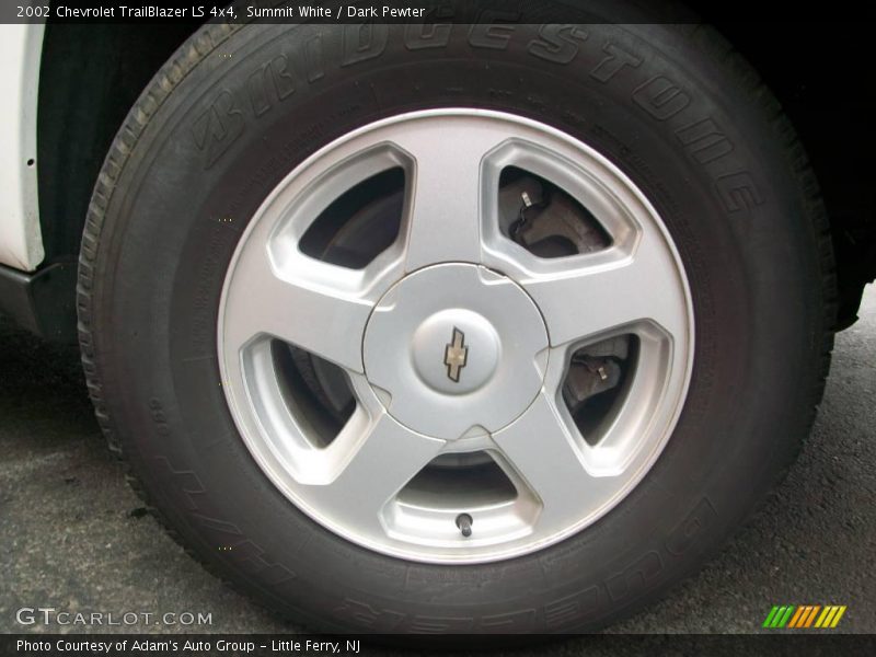 Summit White / Dark Pewter 2002 Chevrolet TrailBlazer LS 4x4