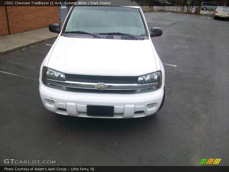 Summit White / Dark Pewter 2002 Chevrolet TrailBlazer LS 4x4