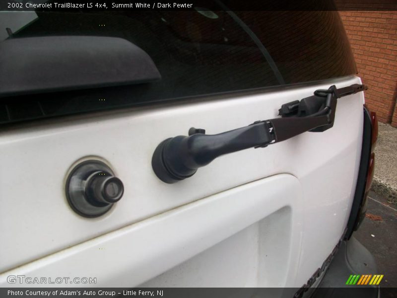 Summit White / Dark Pewter 2002 Chevrolet TrailBlazer LS 4x4