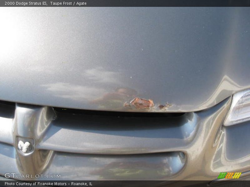 Taupe Frost / Agate 2000 Dodge Stratus ES