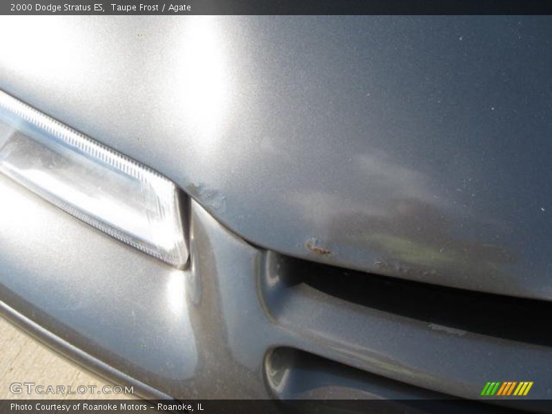Taupe Frost / Agate 2000 Dodge Stratus ES