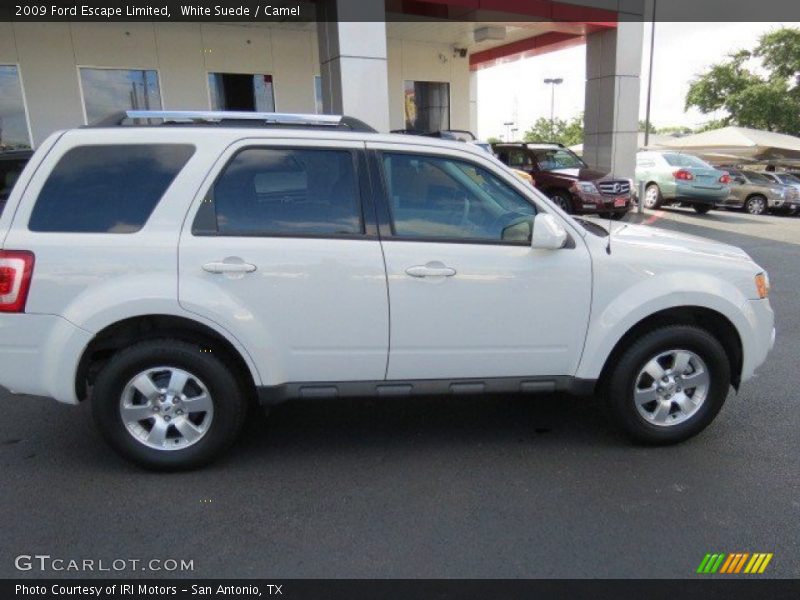 White Suede / Camel 2009 Ford Escape Limited