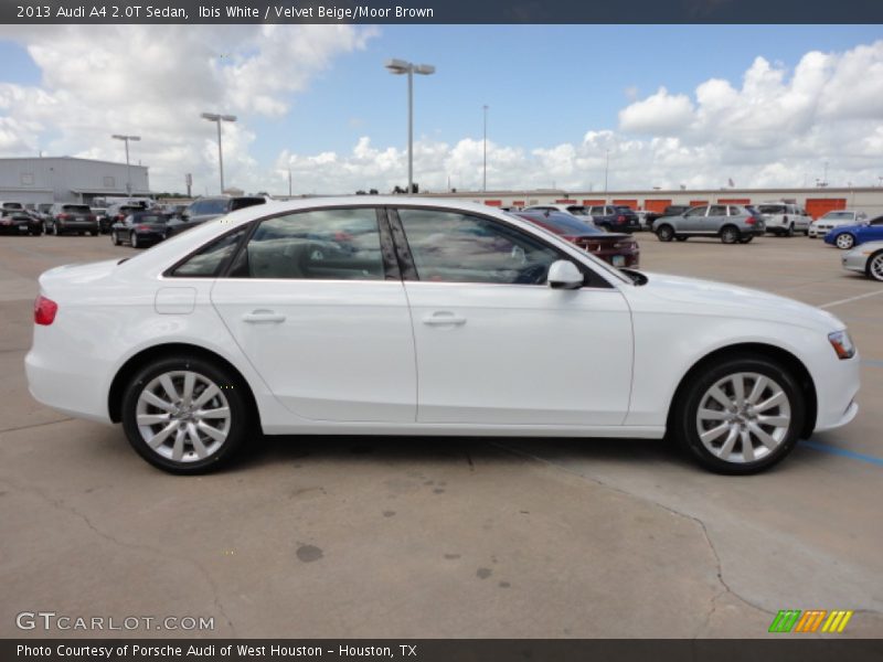 Ibis White / Velvet Beige/Moor Brown 2013 Audi A4 2.0T Sedan