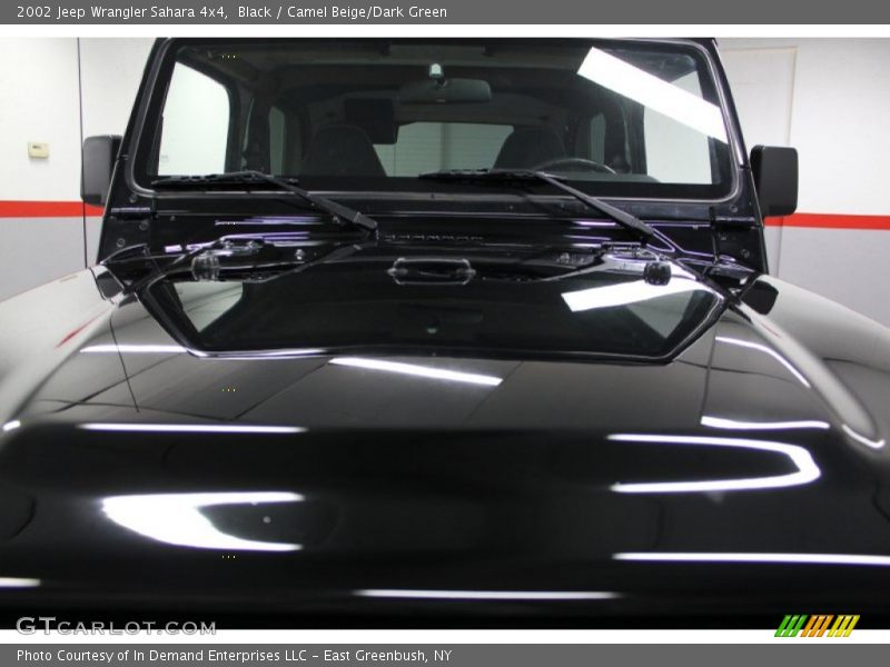 Black / Camel Beige/Dark Green 2002 Jeep Wrangler Sahara 4x4