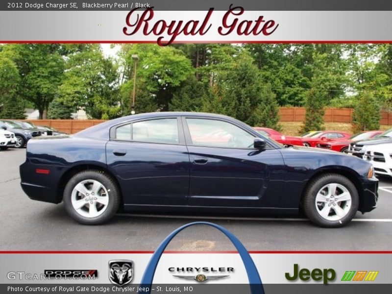 Blackberry Pearl / Black 2012 Dodge Charger SE