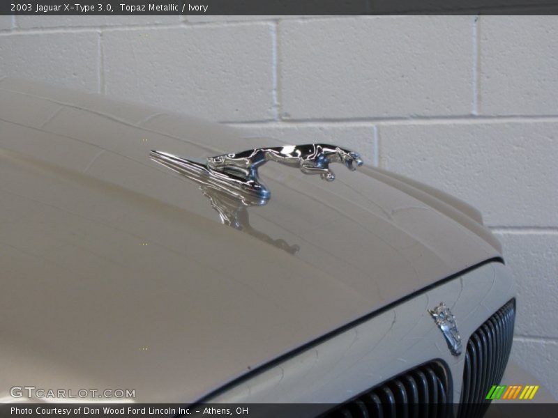 Jaguar Hood Ornament - 2003 Jaguar X-Type 3.0