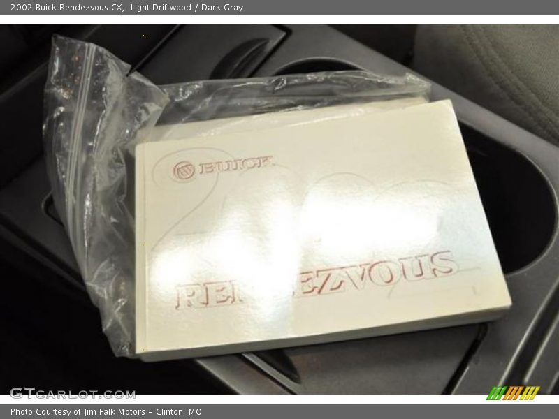 Light Driftwood / Dark Gray 2002 Buick Rendezvous CX