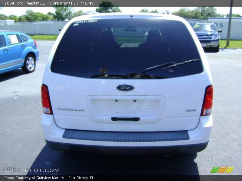 Vibrant White / Flint Grey 2004 Ford Freestar SES