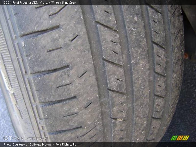 Vibrant White / Flint Grey 2004 Ford Freestar SES