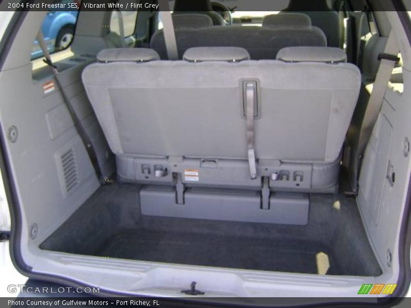 Vibrant White / Flint Grey 2004 Ford Freestar SES
