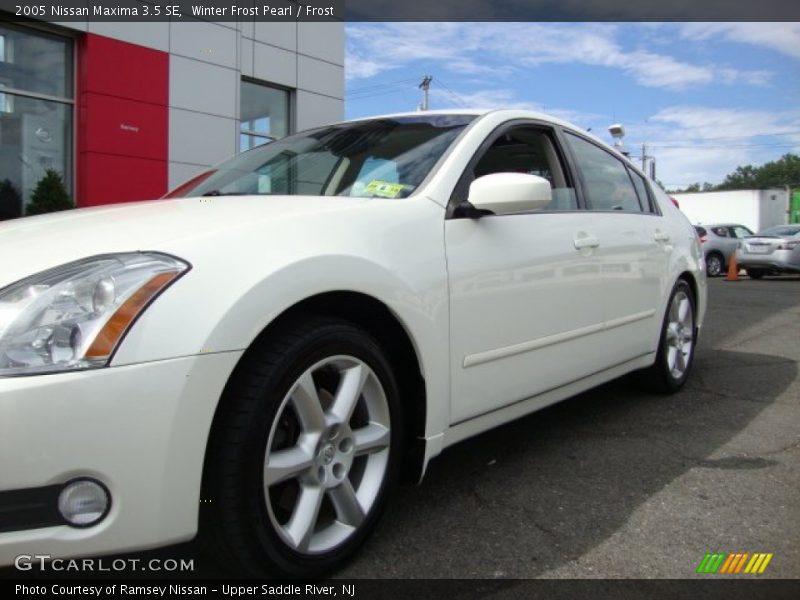 Winter Frost Pearl / Frost 2005 Nissan Maxima 3.5 SE