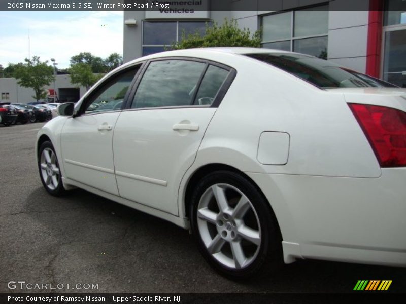 Winter Frost Pearl / Frost 2005 Nissan Maxima 3.5 SE