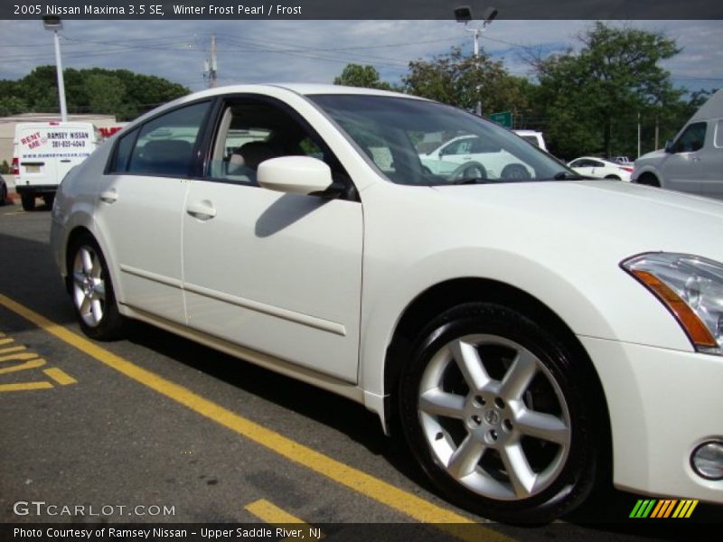 Winter Frost Pearl / Frost 2005 Nissan Maxima 3.5 SE