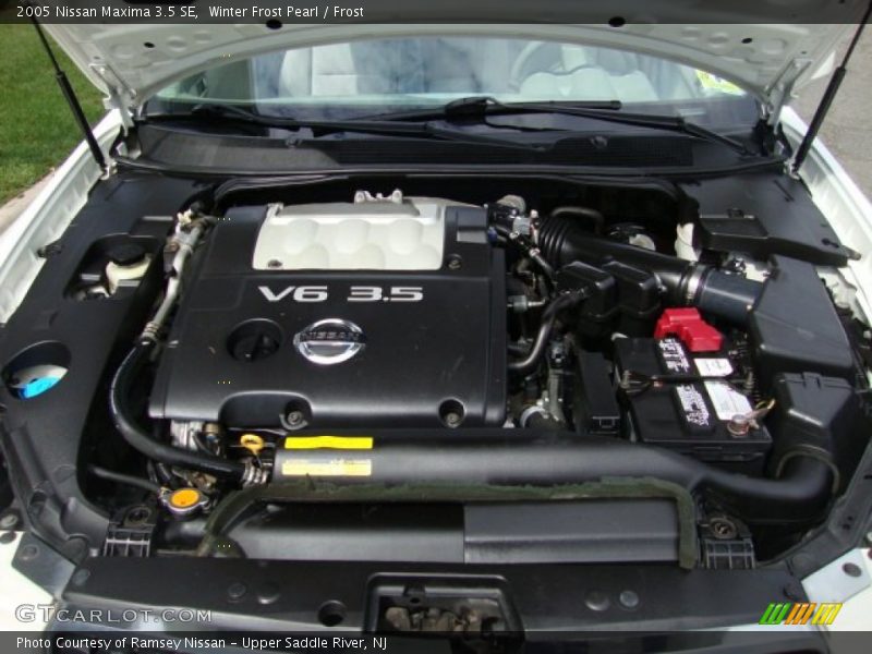 Winter Frost Pearl / Frost 2005 Nissan Maxima 3.5 SE