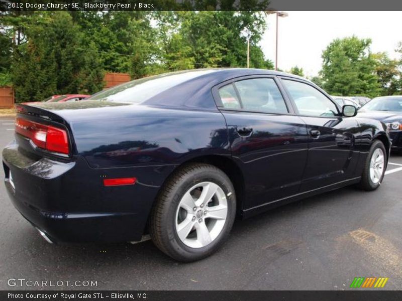 Blackberry Pearl / Black 2012 Dodge Charger SE