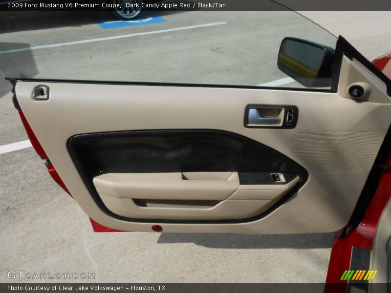 Door Panel of 2009 Mustang V6 Premium Coupe