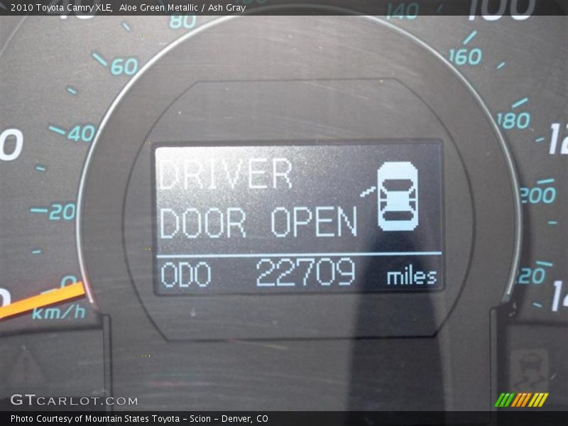 Aloe Green Metallic / Ash Gray 2010 Toyota Camry XLE