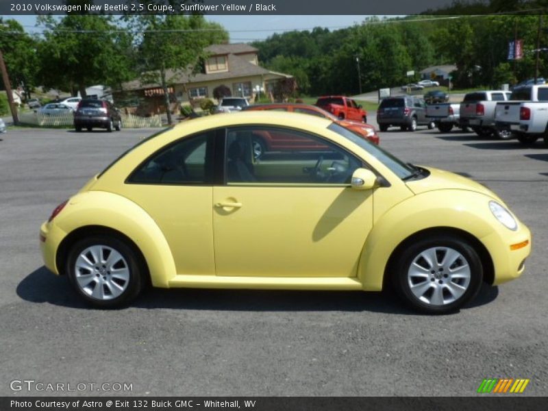 Sunflower Yellow / Black 2010 Volkswagen New Beetle 2.5 Coupe