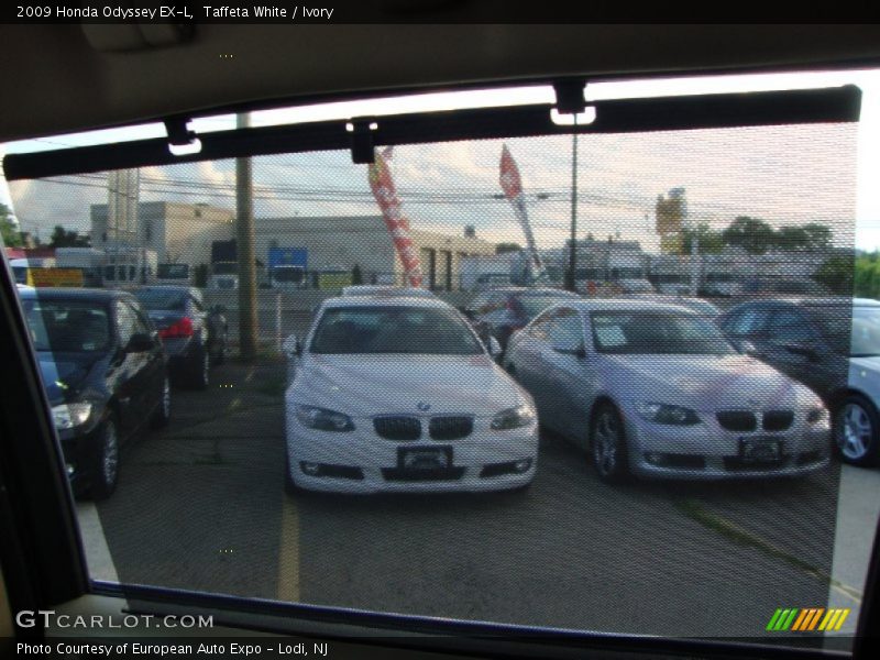 Taffeta White / Ivory 2009 Honda Odyssey EX-L