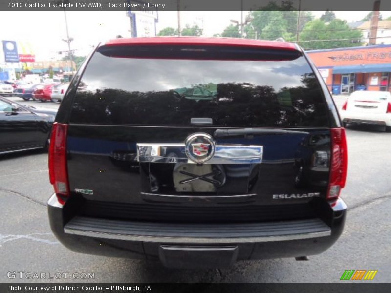 Black Raven / Ebony 2010 Cadillac Escalade ESV AWD