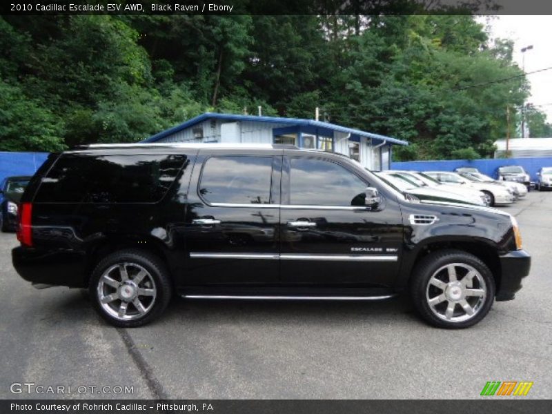 Black Raven / Ebony 2010 Cadillac Escalade ESV AWD