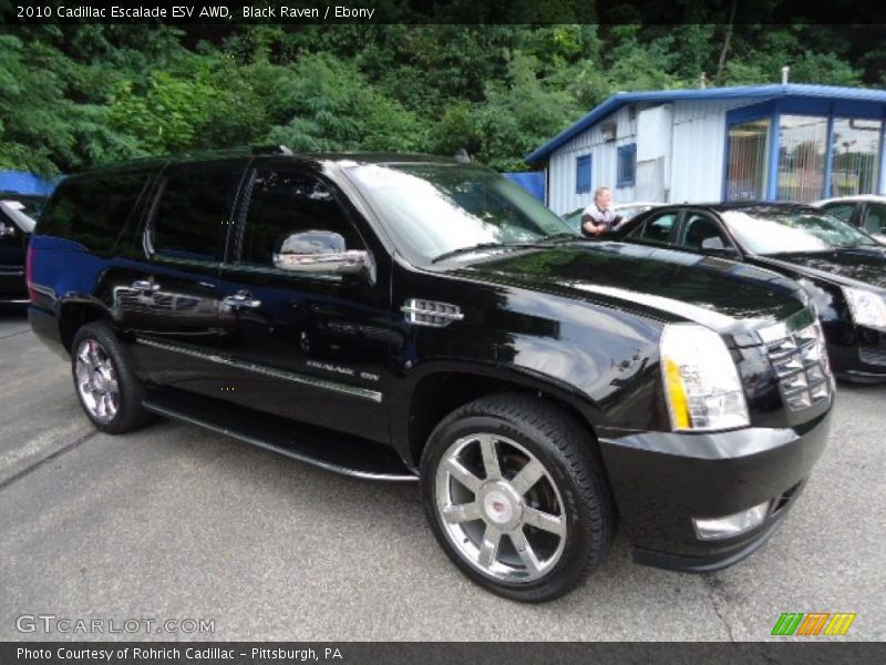 Black Raven / Ebony 2010 Cadillac Escalade ESV AWD