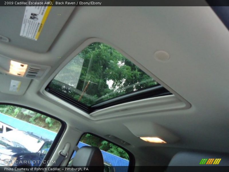 Black Raven / Ebony/Ebony 2009 Cadillac Escalade AWD