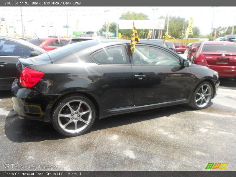 Black Sand Mica / Dark Gray 2005 Scion tC