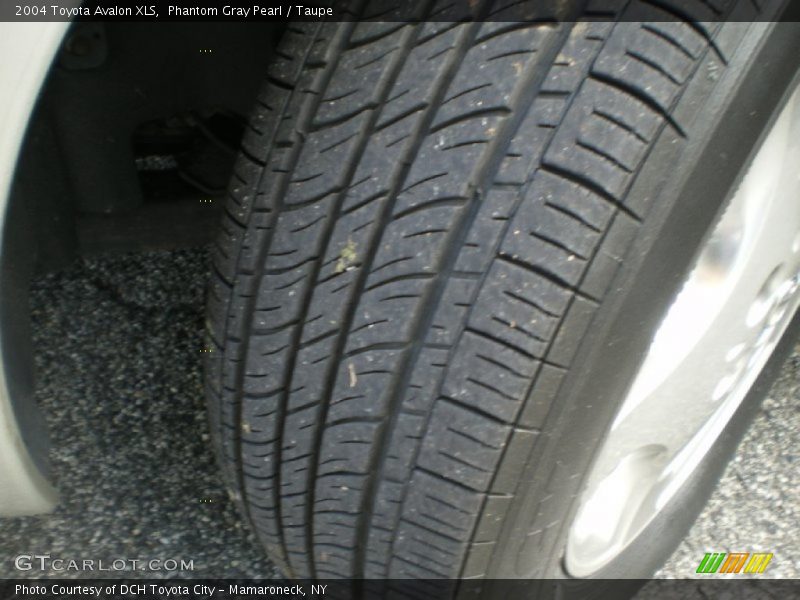 Phantom Gray Pearl / Taupe 2004 Toyota Avalon XLS