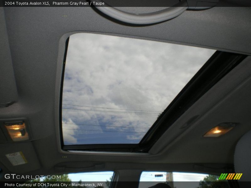 Phantom Gray Pearl / Taupe 2004 Toyota Avalon XLS
