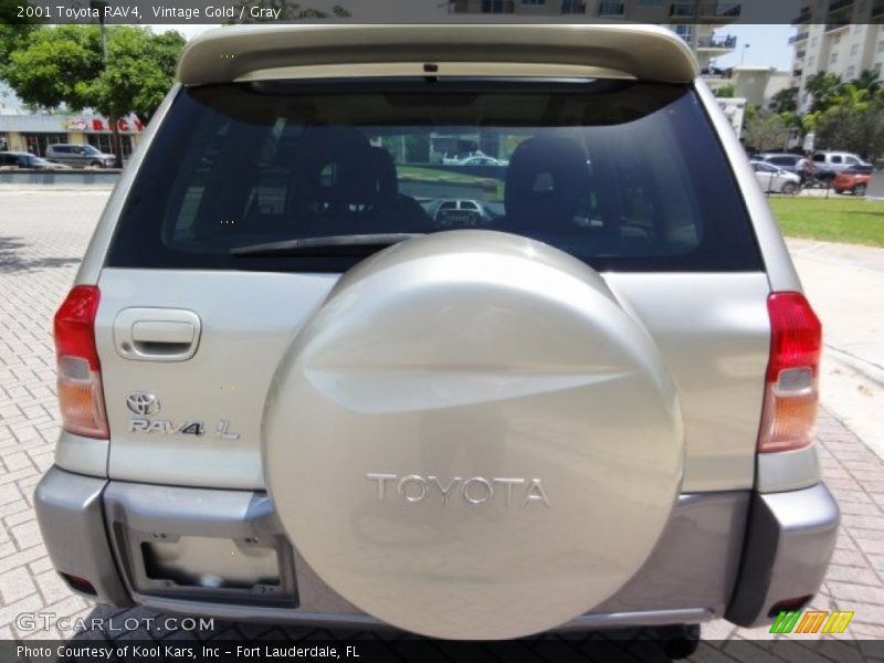 Vintage Gold / Gray 2001 Toyota RAV4