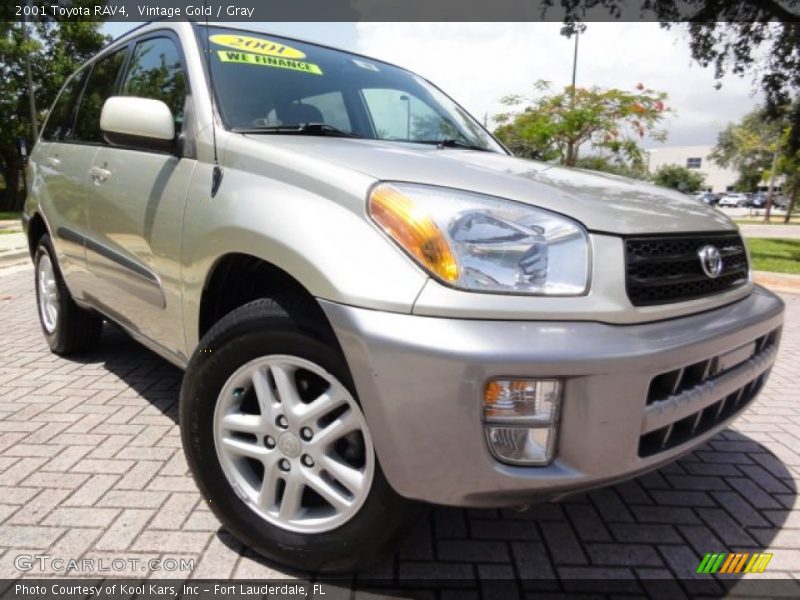 Vintage Gold / Gray 2001 Toyota RAV4