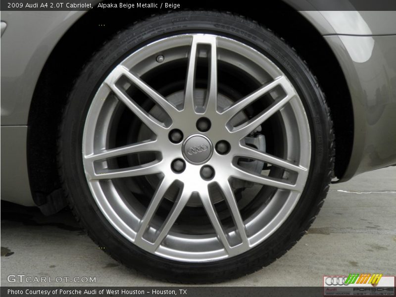 Alpaka Beige Metallic / Beige 2009 Audi A4 2.0T Cabriolet