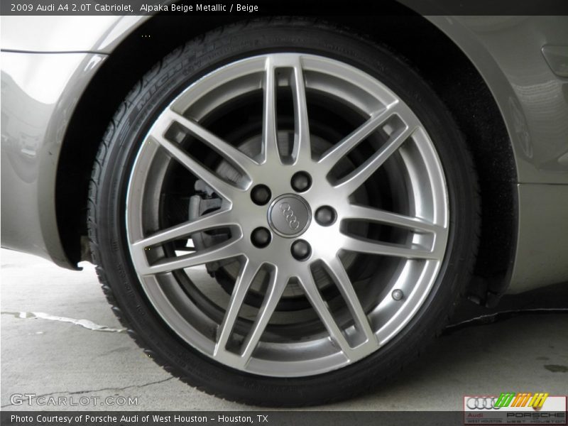Alpaka Beige Metallic / Beige 2009 Audi A4 2.0T Cabriolet