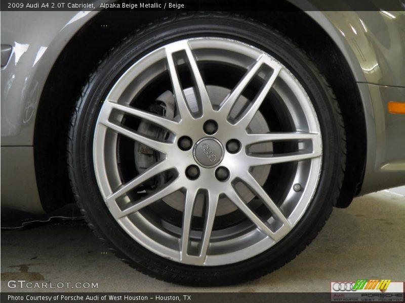 Alpaka Beige Metallic / Beige 2009 Audi A4 2.0T Cabriolet