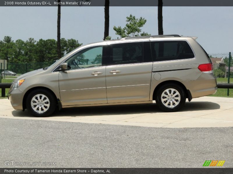 Mocha Metallic / Ivory 2008 Honda Odyssey EX-L