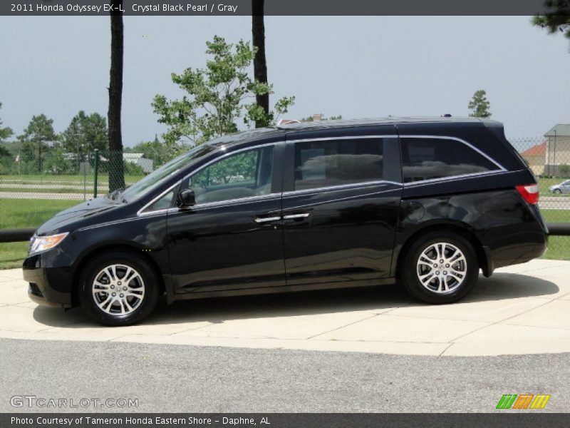 Crystal Black Pearl / Gray 2011 Honda Odyssey EX-L