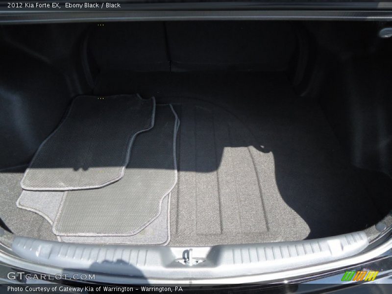 Ebony Black / Black 2012 Kia Forte EX