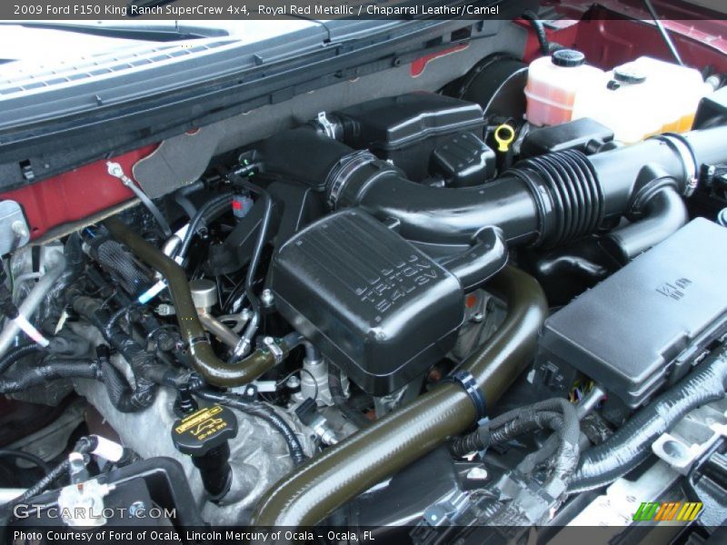  2009 F150 King Ranch SuperCrew 4x4 Engine - 5.4 Liter SOHC 24-Valve VVT Triton V8