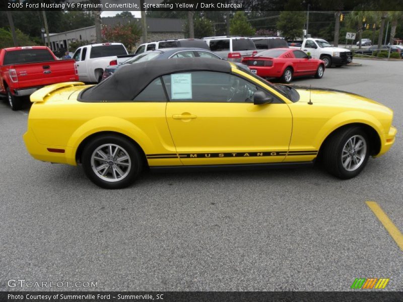 Screaming Yellow / Dark Charcoal 2005 Ford Mustang V6 Premium Convertible