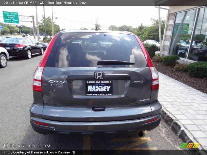 Opal Sage Metallic / Gray 2011 Honda CR-V SE 4WD