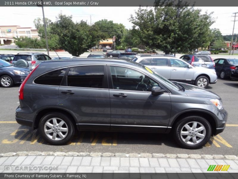 Opal Sage Metallic / Gray 2011 Honda CR-V SE 4WD