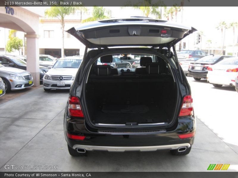 Black / Black 2010 Mercedes-Benz ML 350