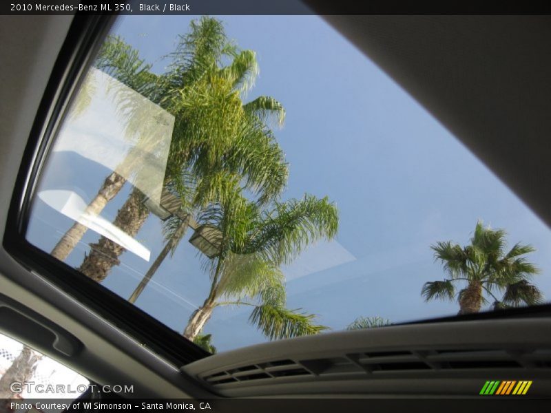 Black / Black 2010 Mercedes-Benz ML 350