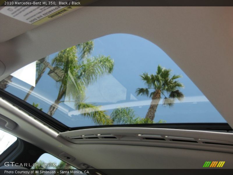 Black / Black 2010 Mercedes-Benz ML 350