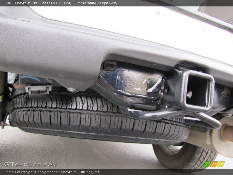 Summit White / Light Gray 2005 Chevrolet TrailBlazer EXT LS 4x4