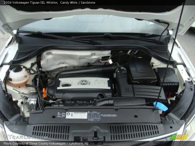 Candy White / Sandstone 2009 Volkswagen Tiguan SEL 4Motion