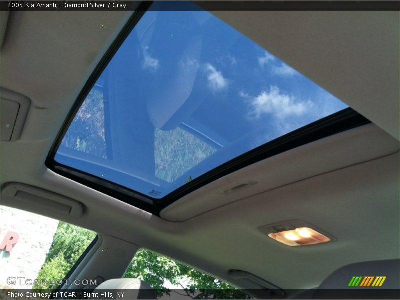 Diamond Silver / Gray 2005 Kia Amanti