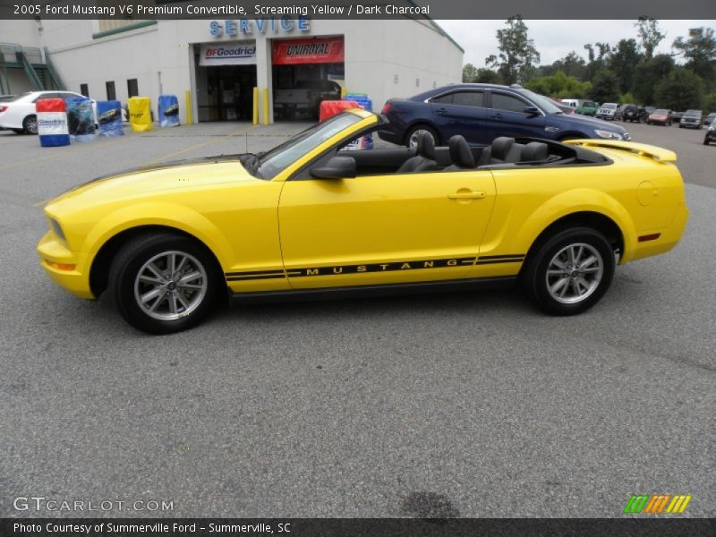 Screaming Yellow / Dark Charcoal 2005 Ford Mustang V6 Premium Convertible